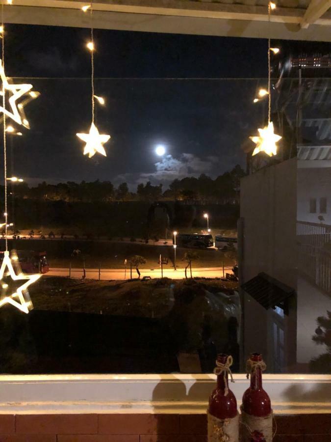 Suri'S House Homestay ダラット エクステリア 写真